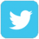 imageedit_13_3204399678 Twitter Icon